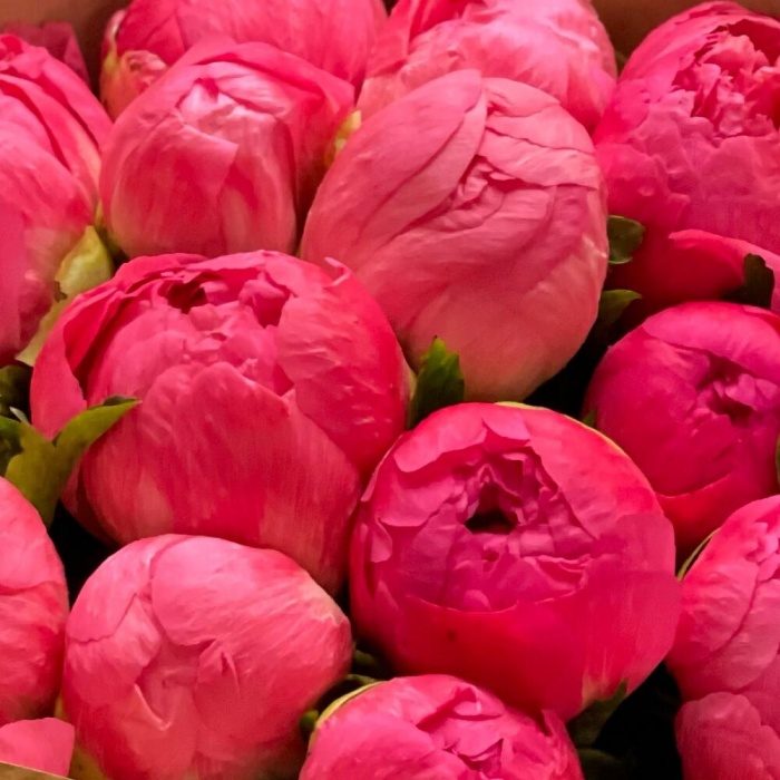 Букет «15 пион», фото 2