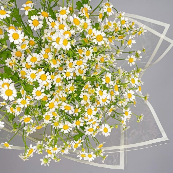 Букет из 9 ромашек, фото 2